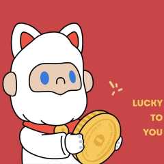 猪小磊